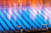 Heathlands gas fired boilers